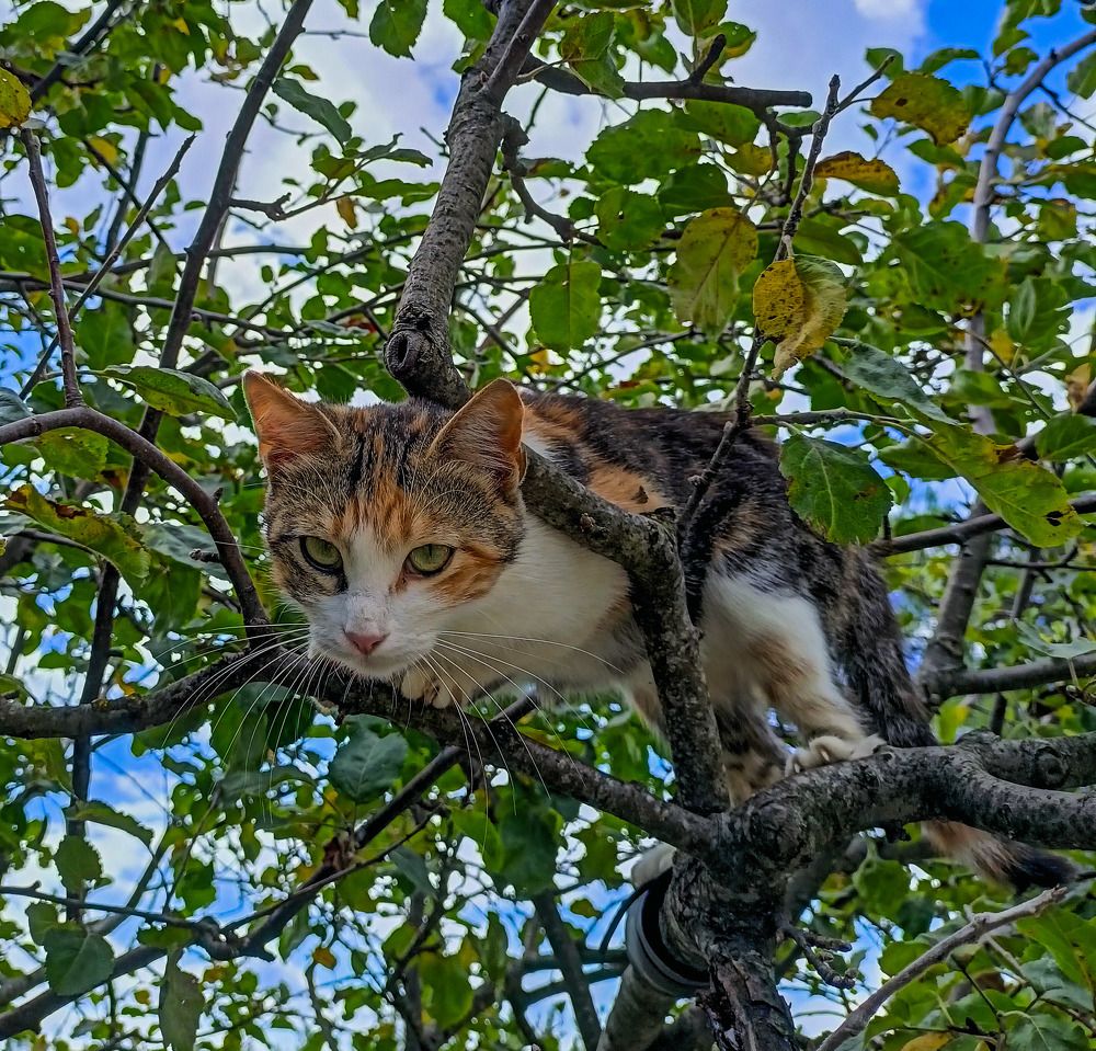 Photograph by Олег Башкуров