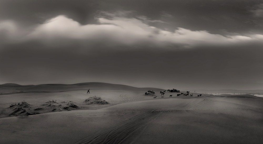 Photograph by Mitra Amini