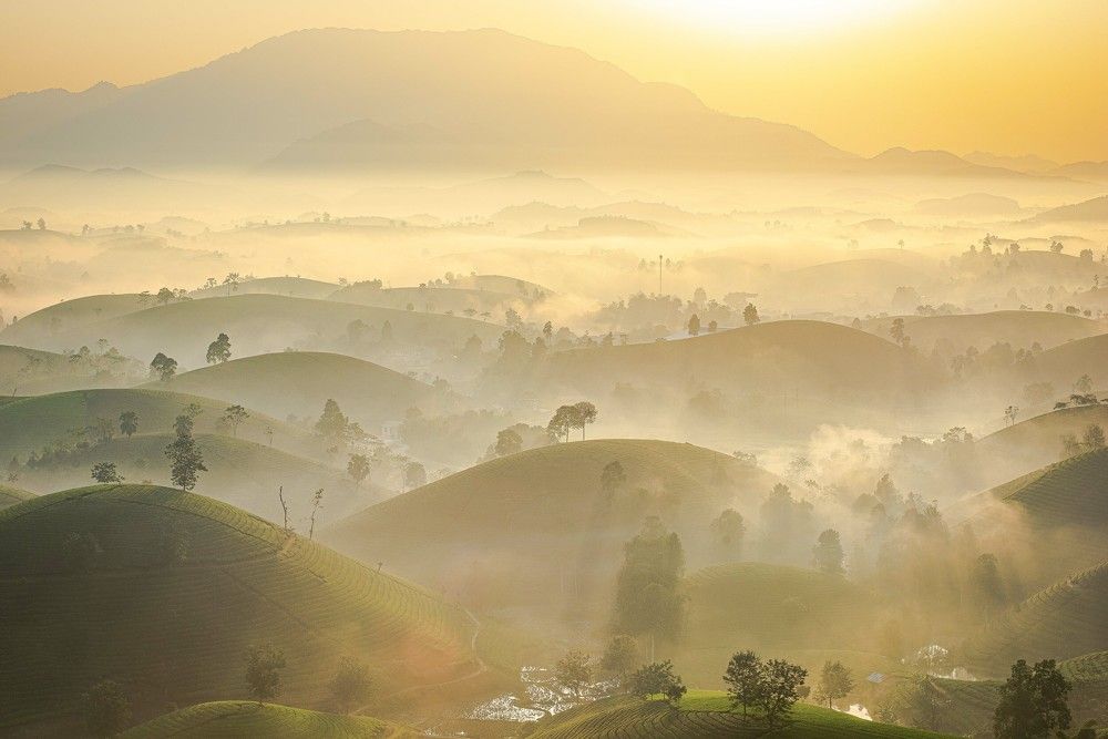 Photograph by Duc Nguyen