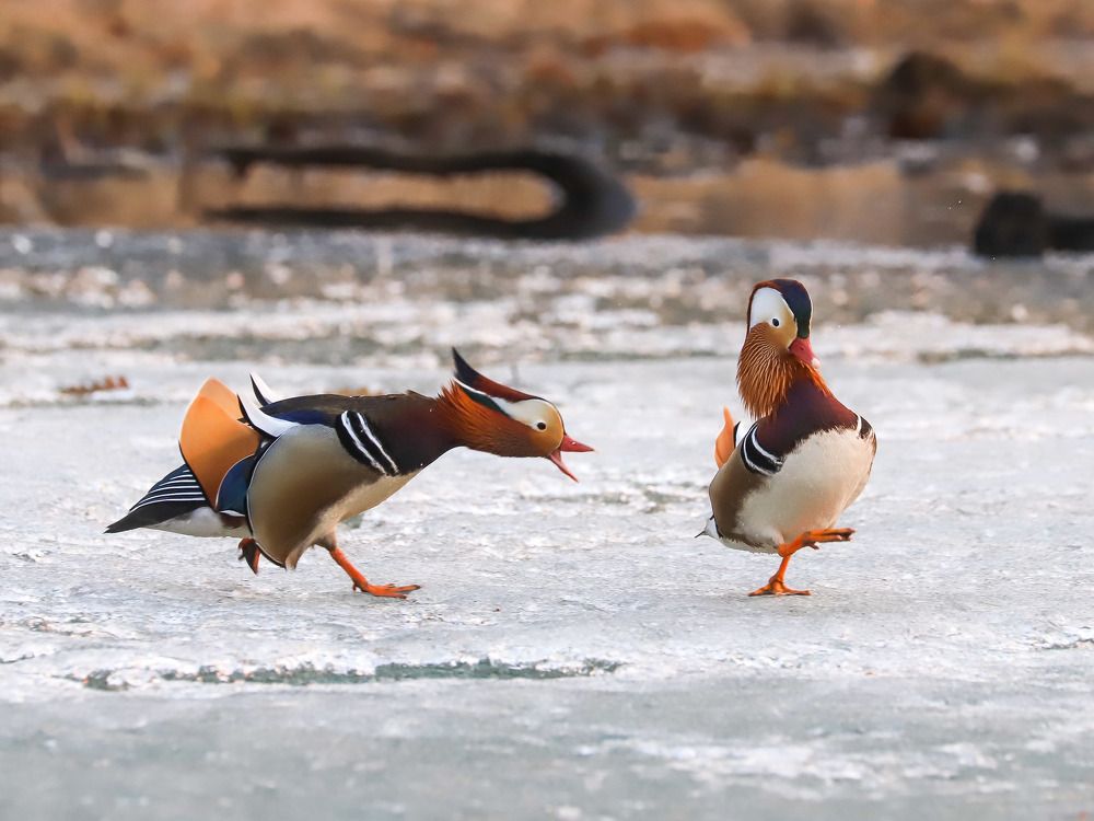 Фотография автора Алексей