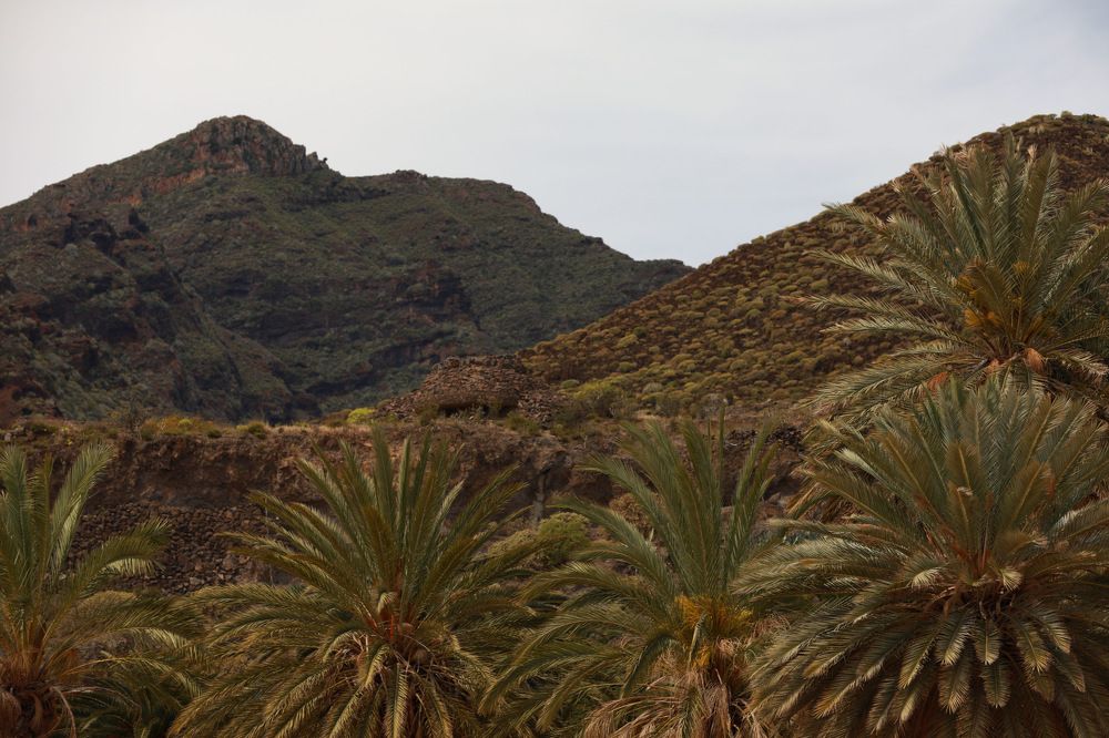 Photograph by Мария Kокоревич