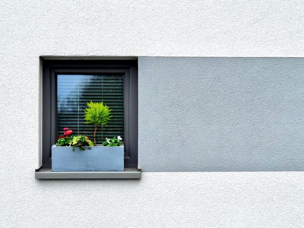 Photograph by Mahmoud Ahmadi