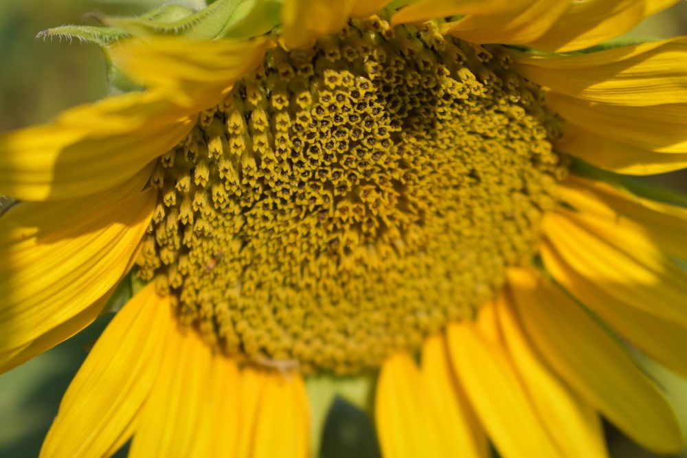 Photograph by Любовь Панфилова