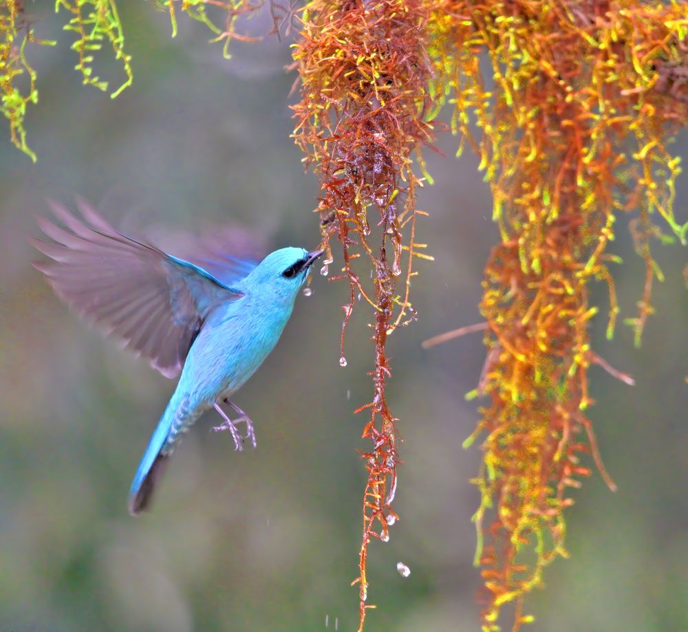 Photograph by Abhishek Manna