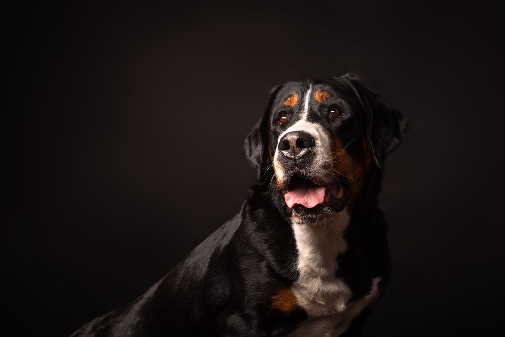 Photograph by наталья залогина