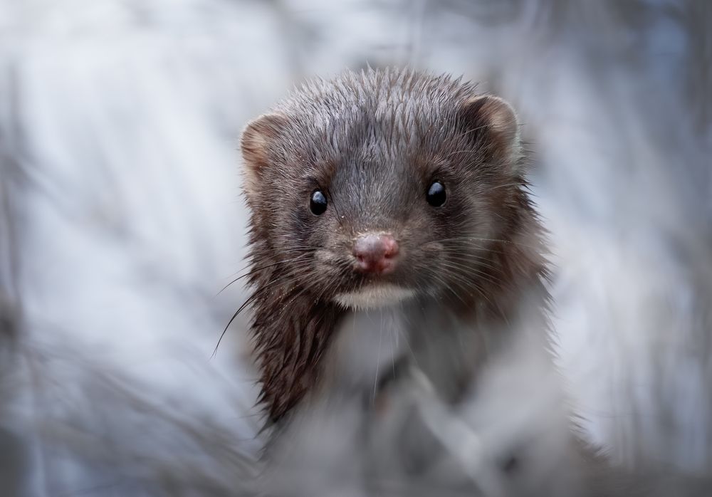 Photograph by Дарья