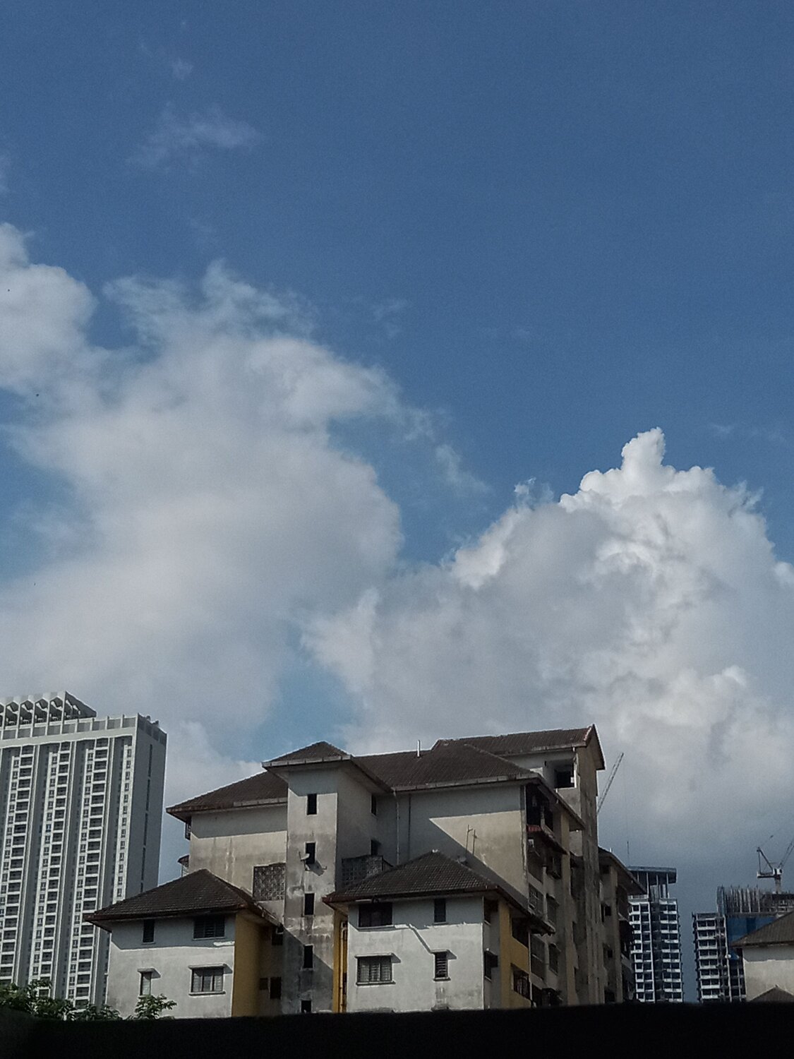 Photo #9047337