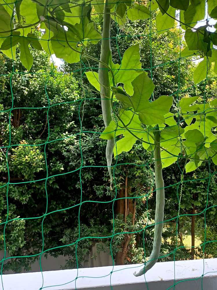 Фотография автора Tom Kottackal