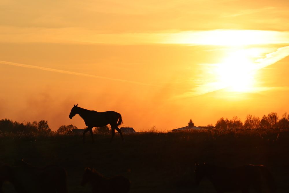 Photograph by Лолита Богачева