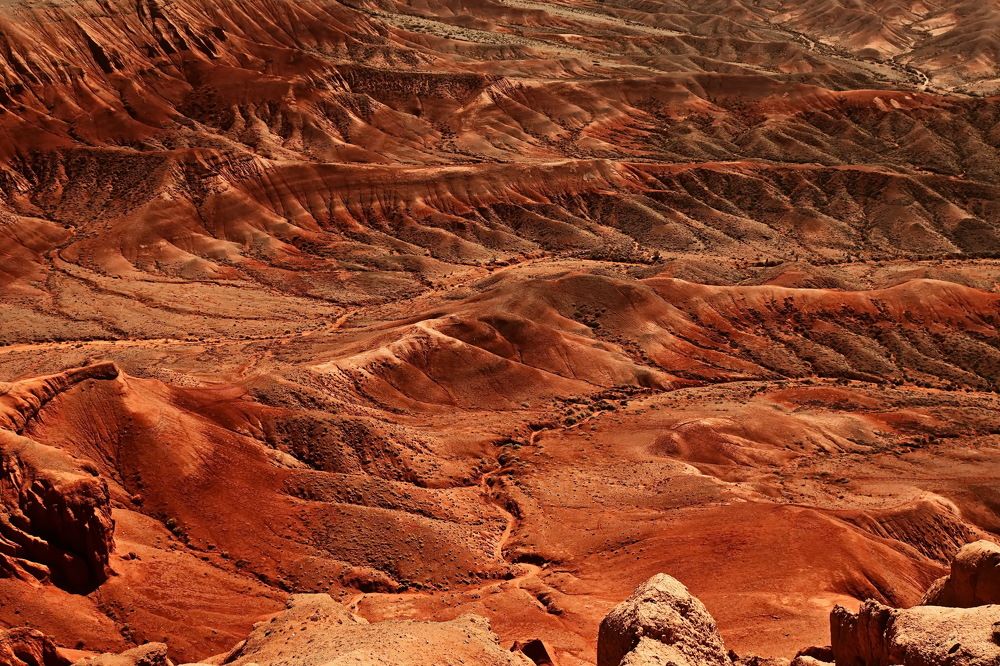 Photograph by Наталья Баранова