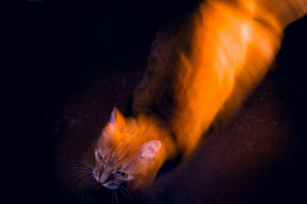 Photograph by Елена Подшевалова