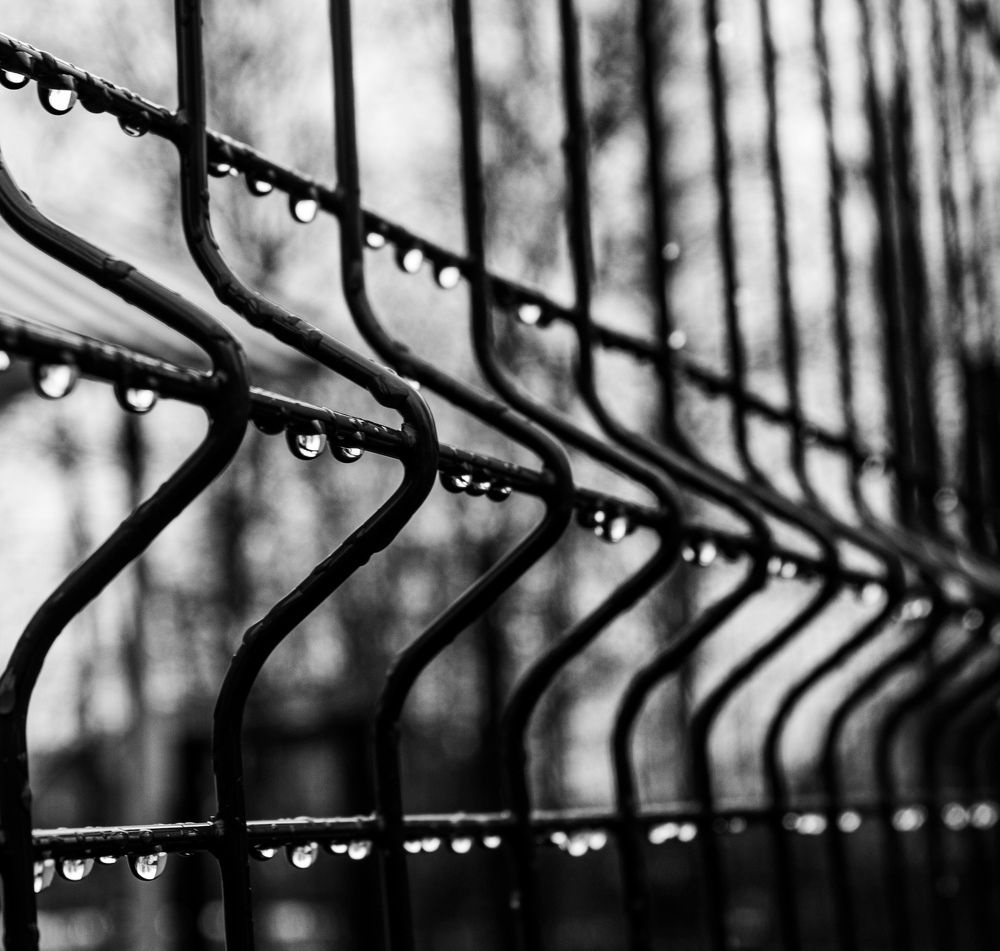 Photograph by Максим Антошкин