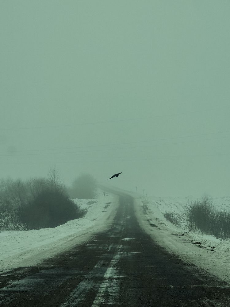 Photograph by Кирилл Никулин