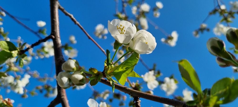 Photograph by Umida Yusupova