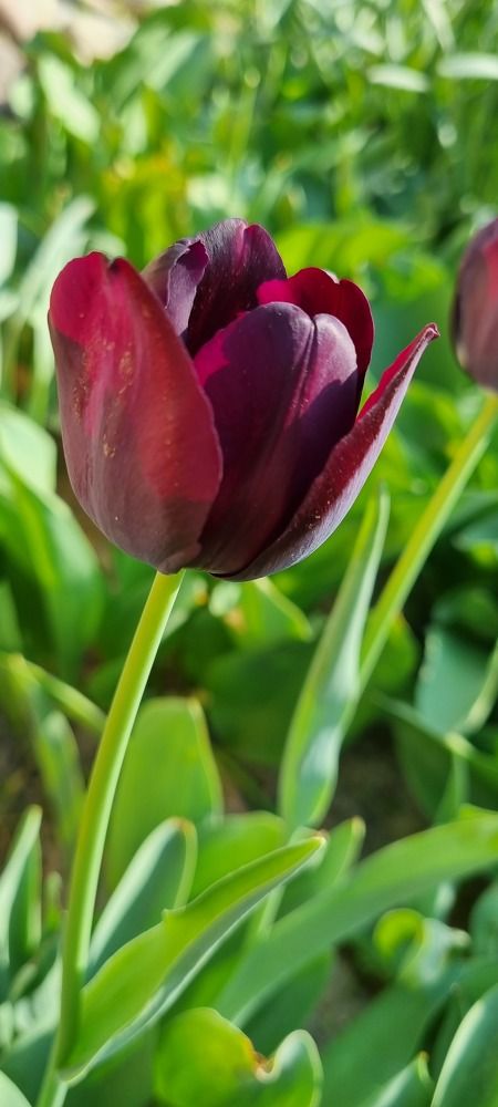 Photograph by Umida Yusupova