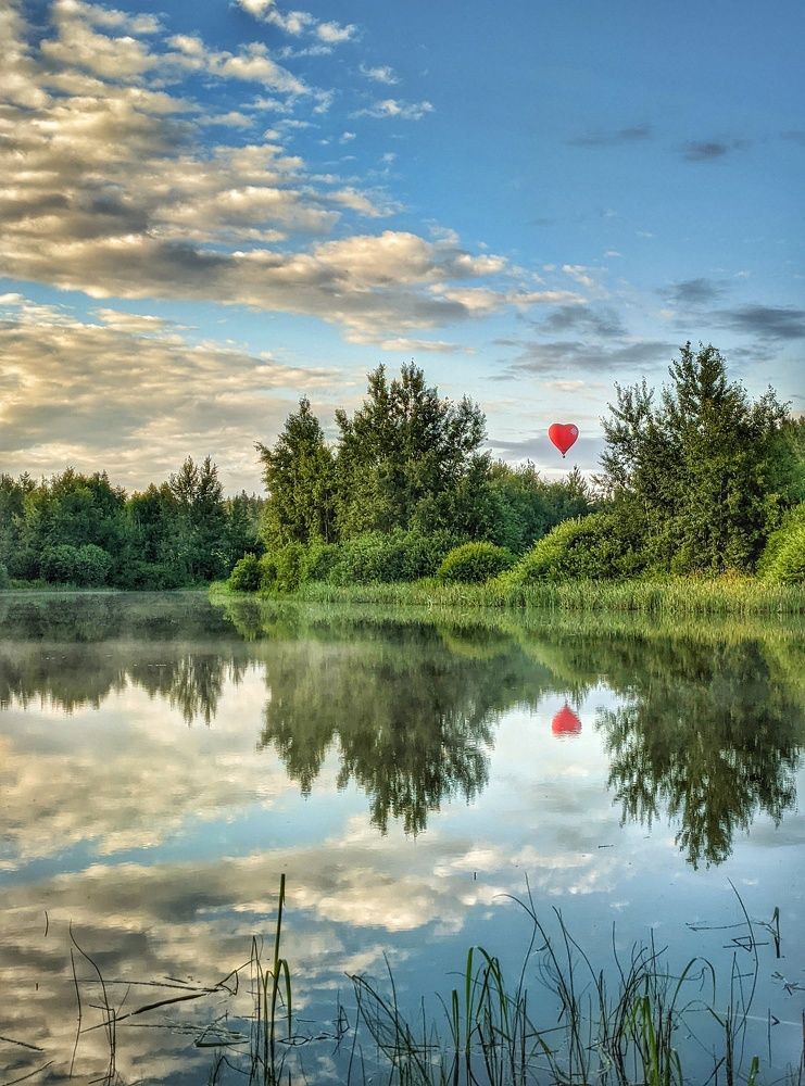 Photograph by Владимир Шаруба
