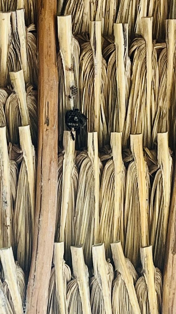 Фотография автора Luis Pardo