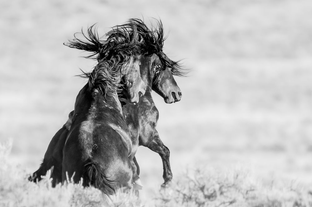 Photograph by Tony Douzenis