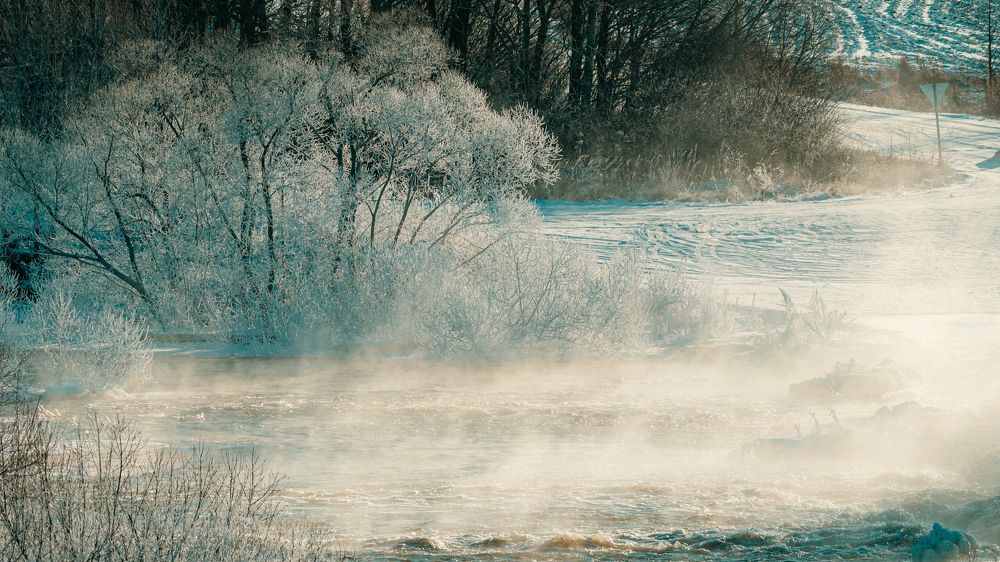 Photograph by Александр Ендин