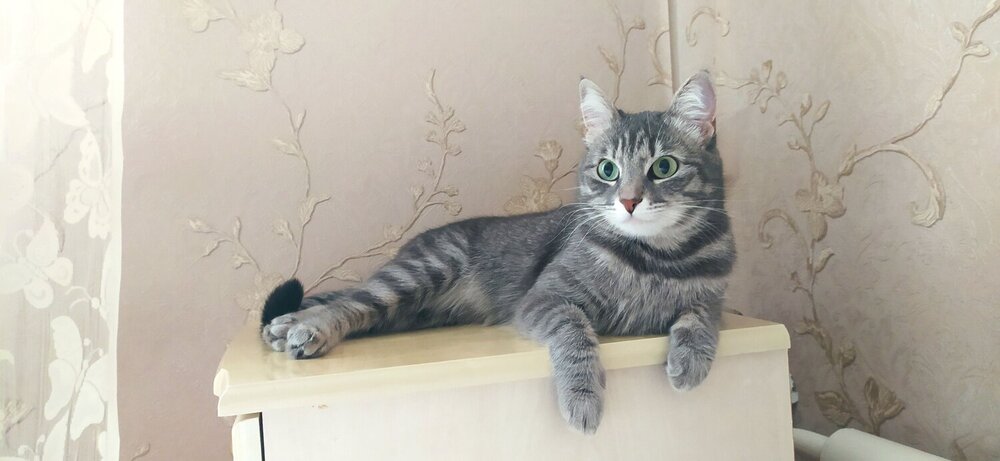 Photograph by Галина Поликанина