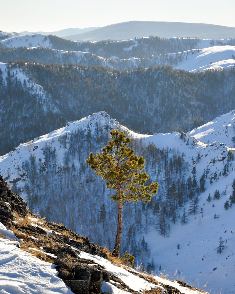 Фотография автора Шингареев Иван
