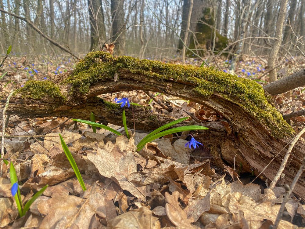 Photograph by Мари Полищук