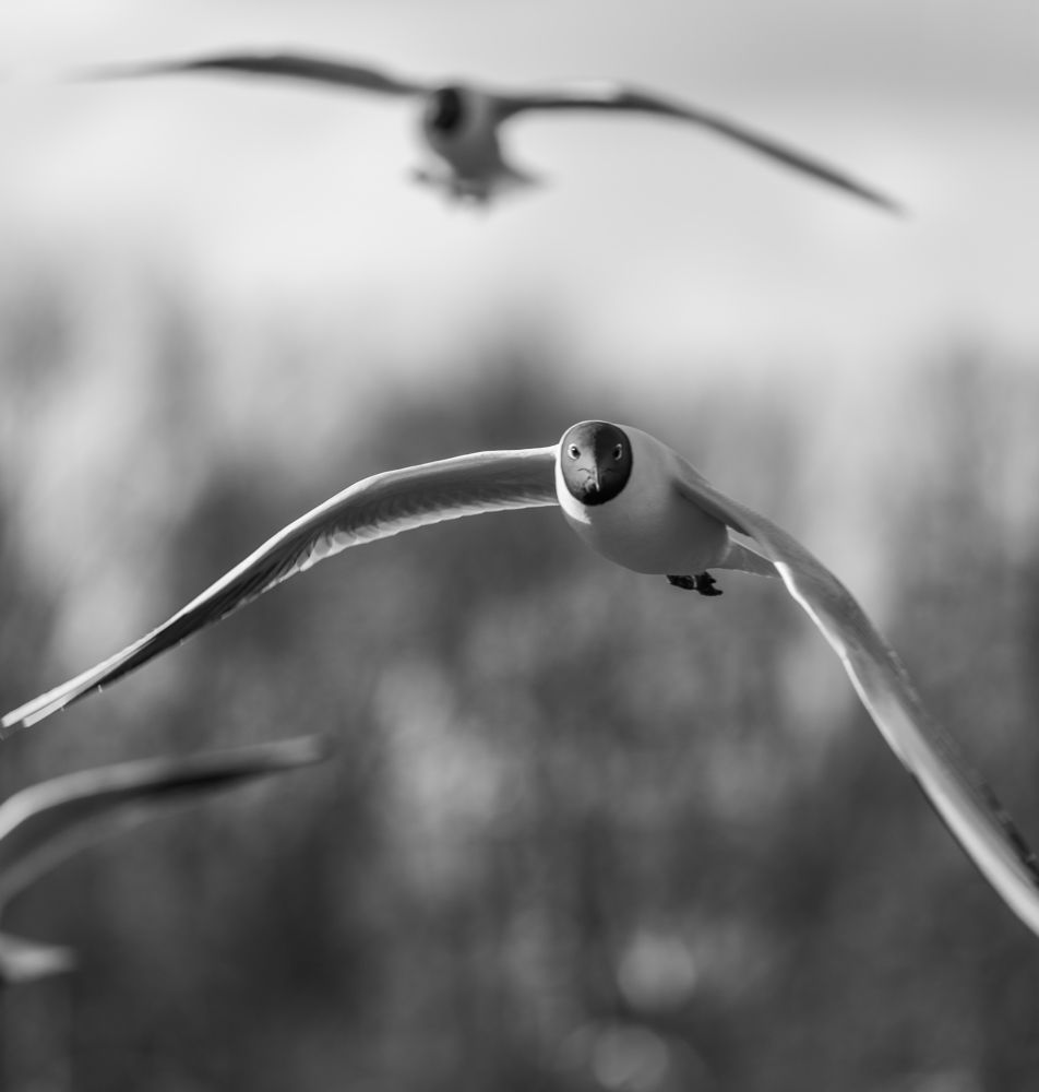 Photograph by Игорь Геннадьевич