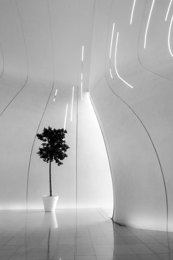 Photograph by Lyudmila Klimanova