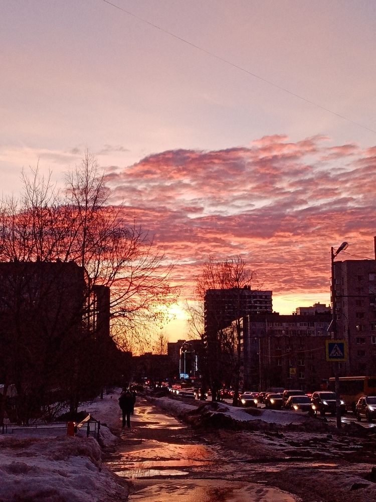 Photo #9048267