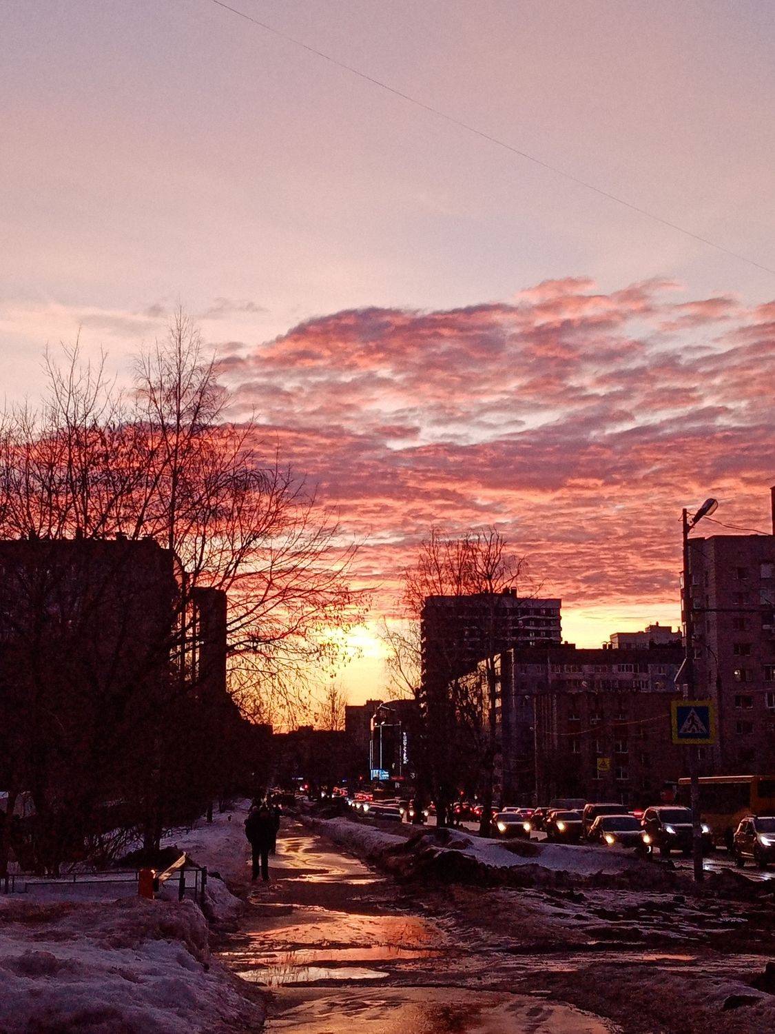 Photo #9048267