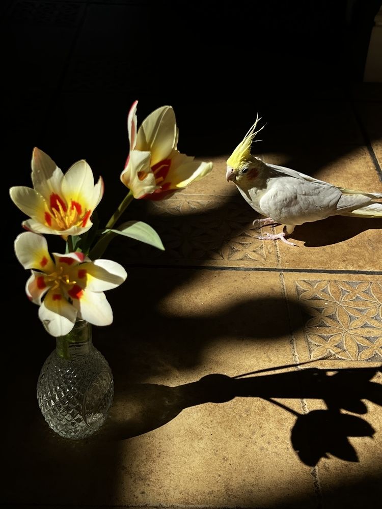 Photograph by Анастасия Денисенко