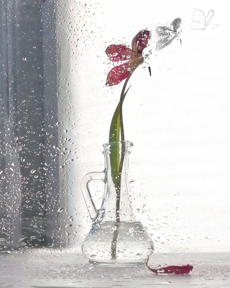 Photograph by OLGA SPASOVSKAYA