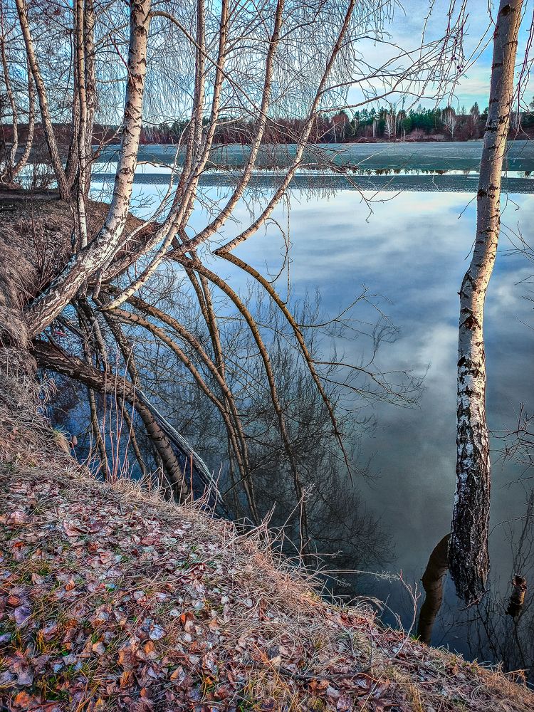 Вечернее отражение