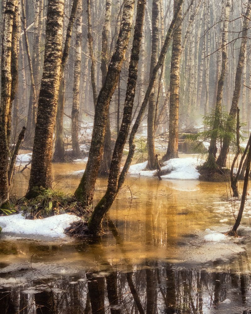 Photograph by Сергей Пестерев