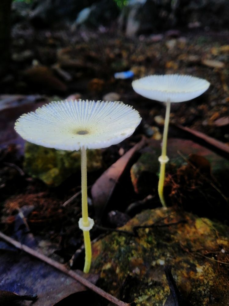 Photograph by Pramodha Ponnamperuma