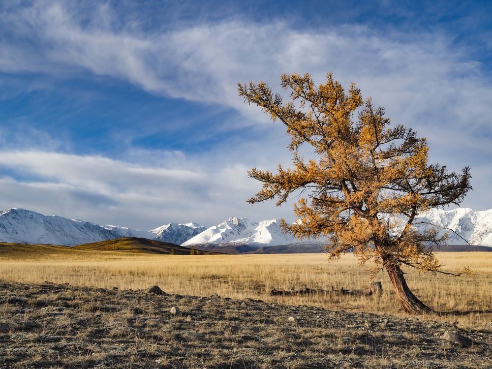 Photograph by Юрий Чернов