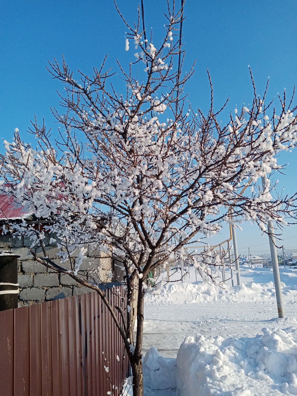 Photo #9048821