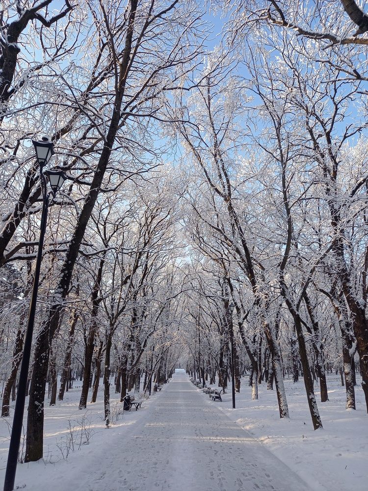 Photo #9048828