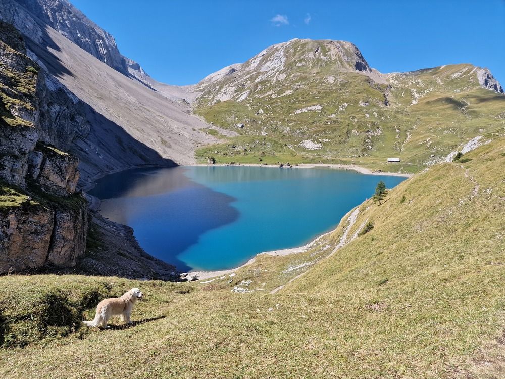 Photograph by Oleg Maloman