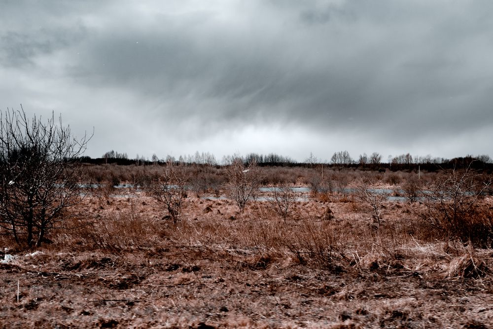 Перед весной