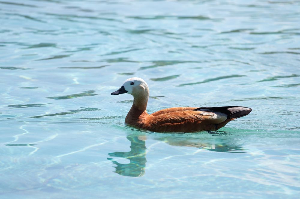 Photograph by Mahmut YILMAZ