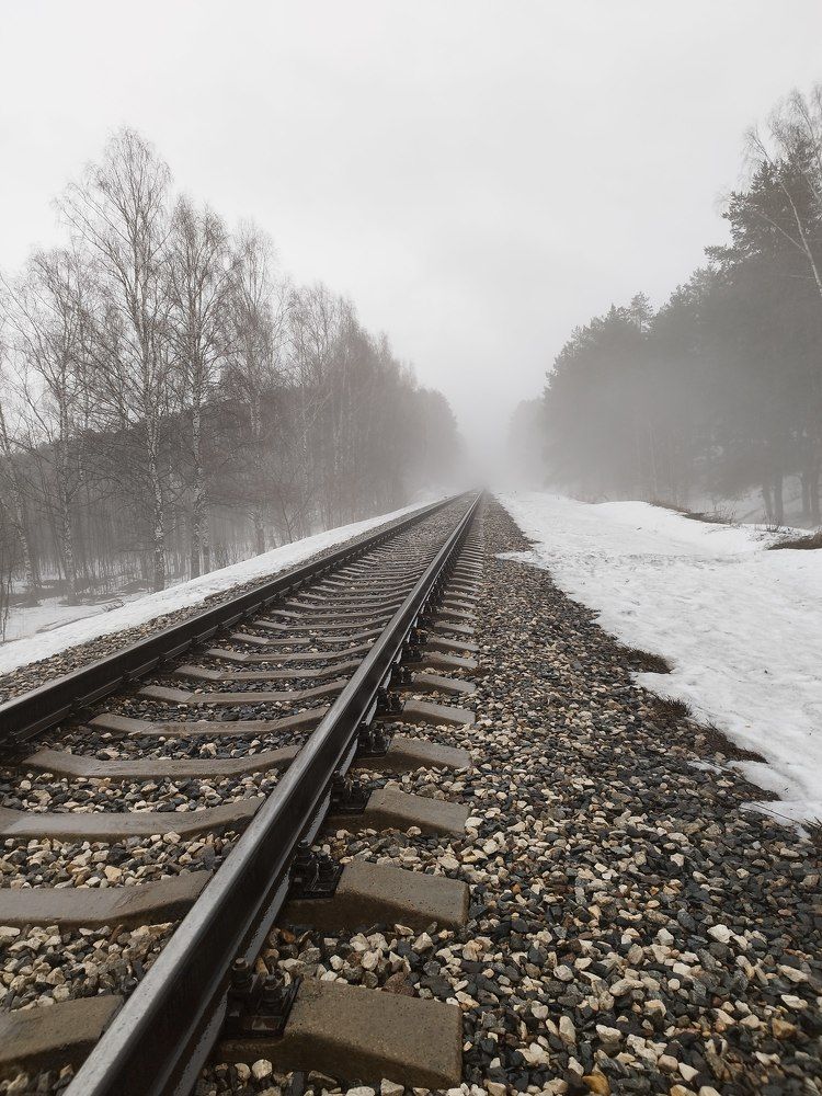 Фотография автора Екатерина Соловьева