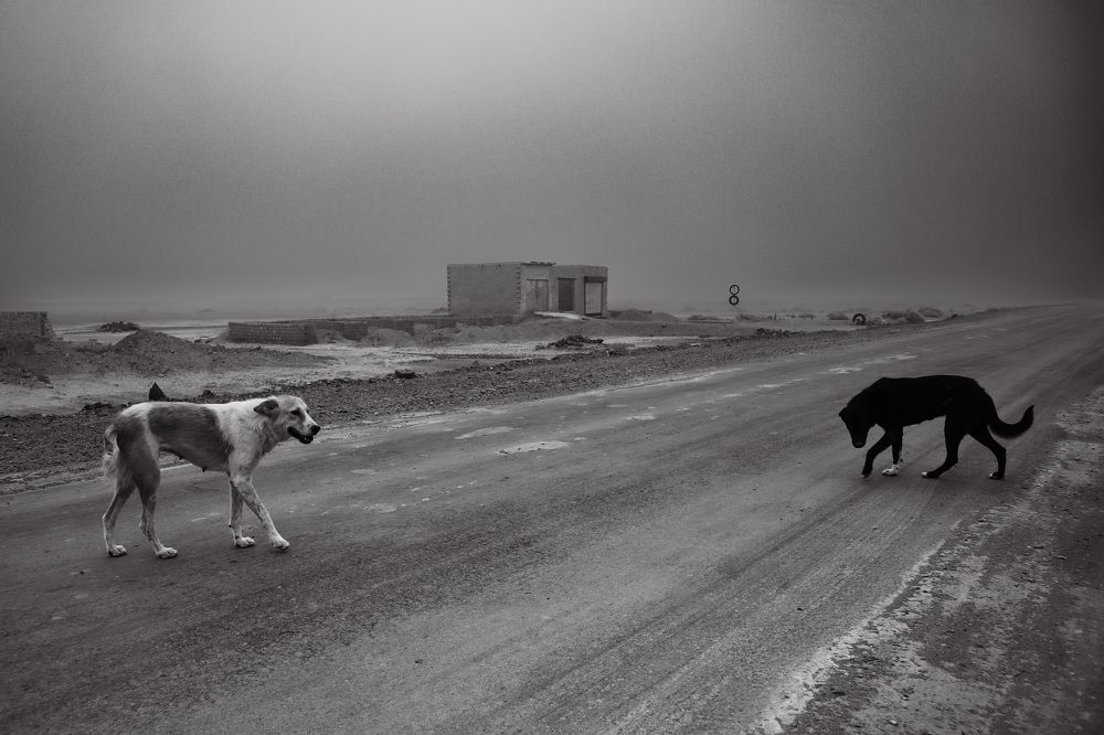 Photograph by Sohail Baloc