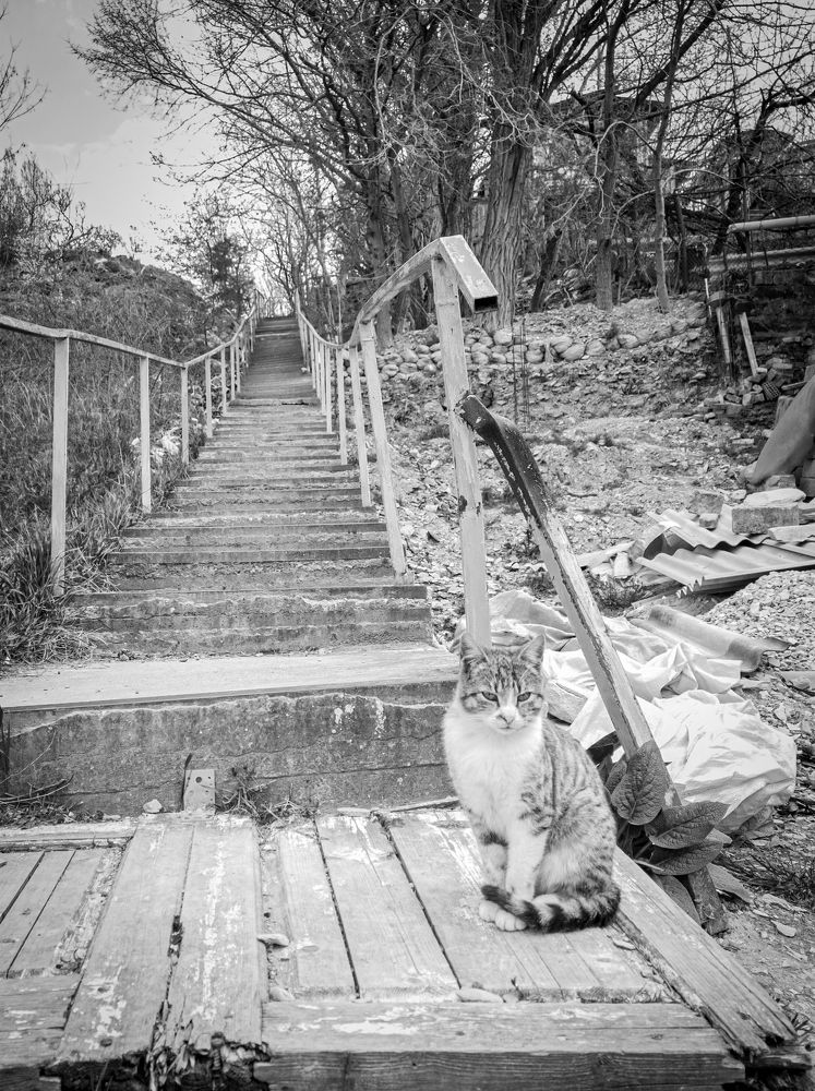 Photograph by Сергей Христинич