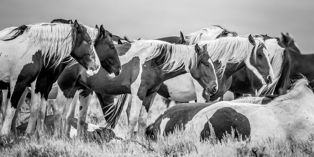 Photograph by Tony Douzenis