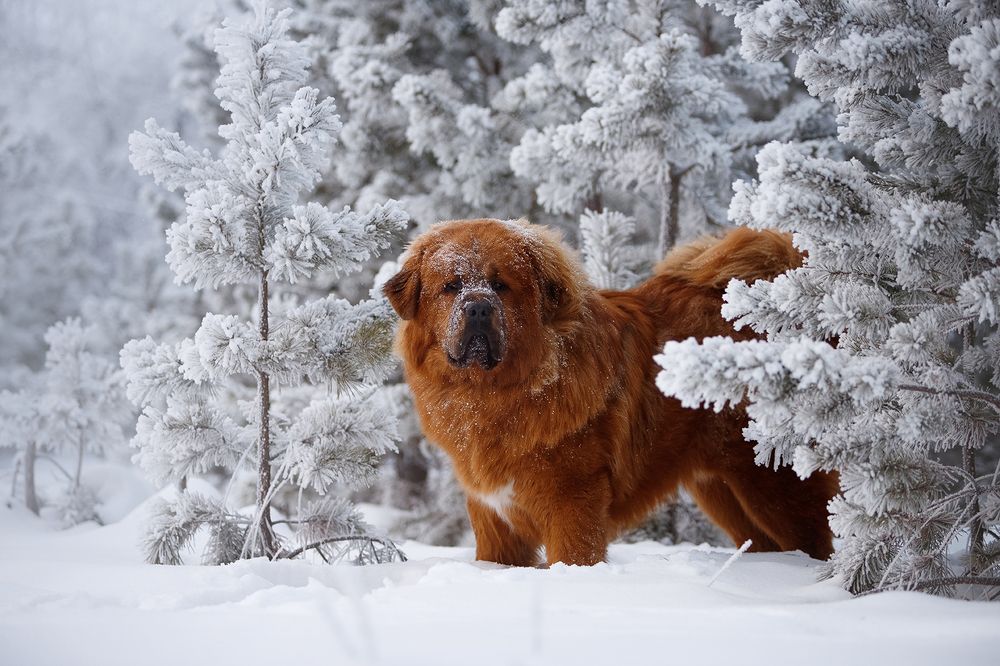 Photograph by Ольга Легенькая
