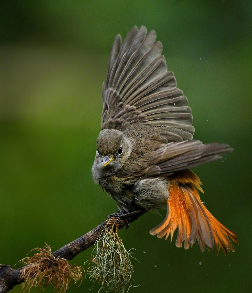 Photograph by George S George