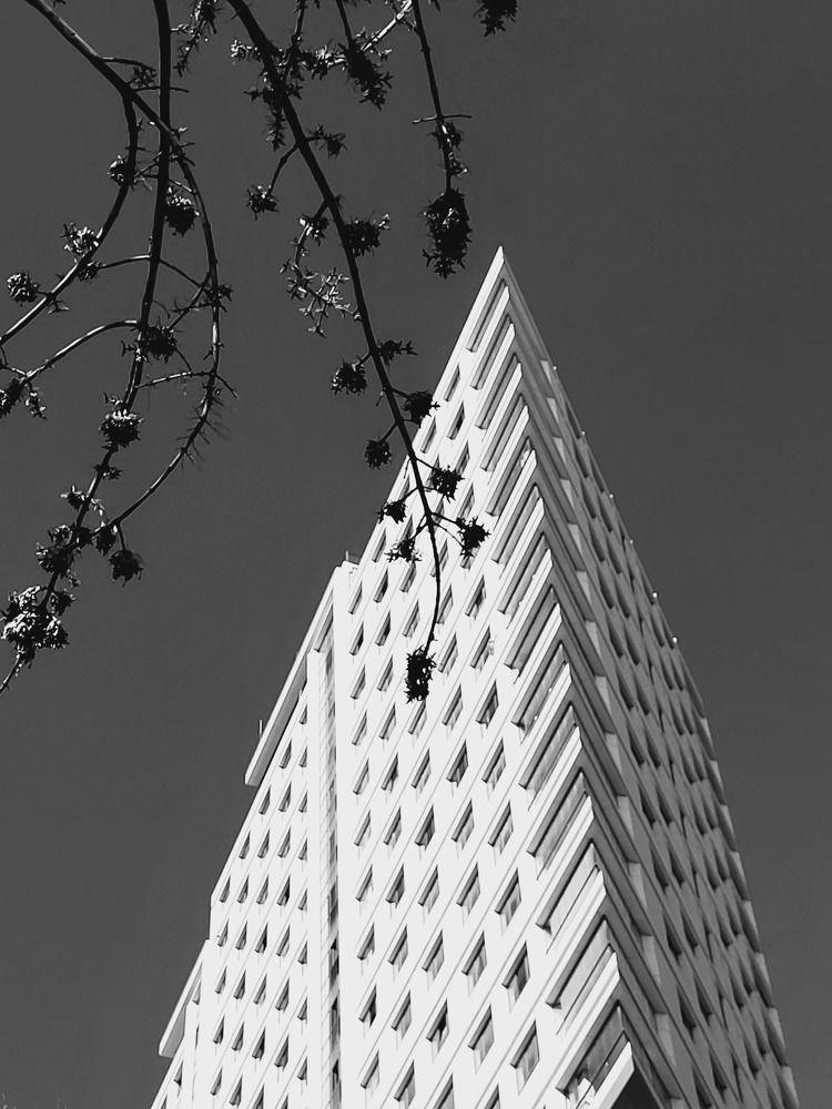 Photograph by Elizabeth Kabatskova