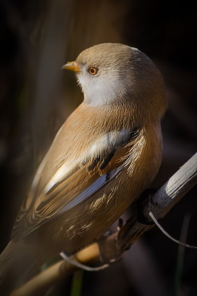 Photograph by Оксана Маховская