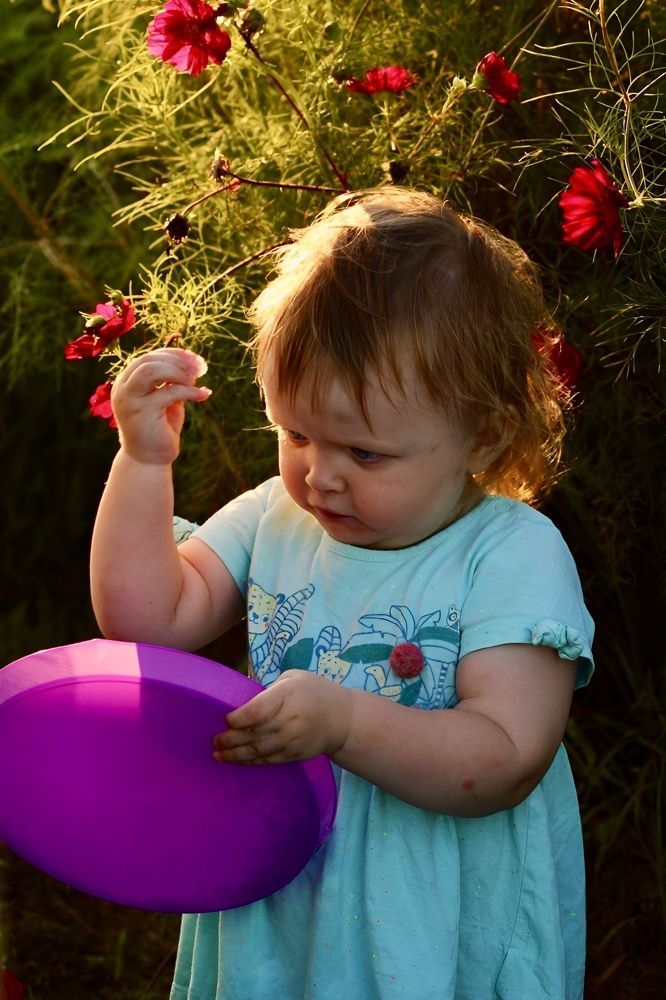 Photograph by Света Троянова